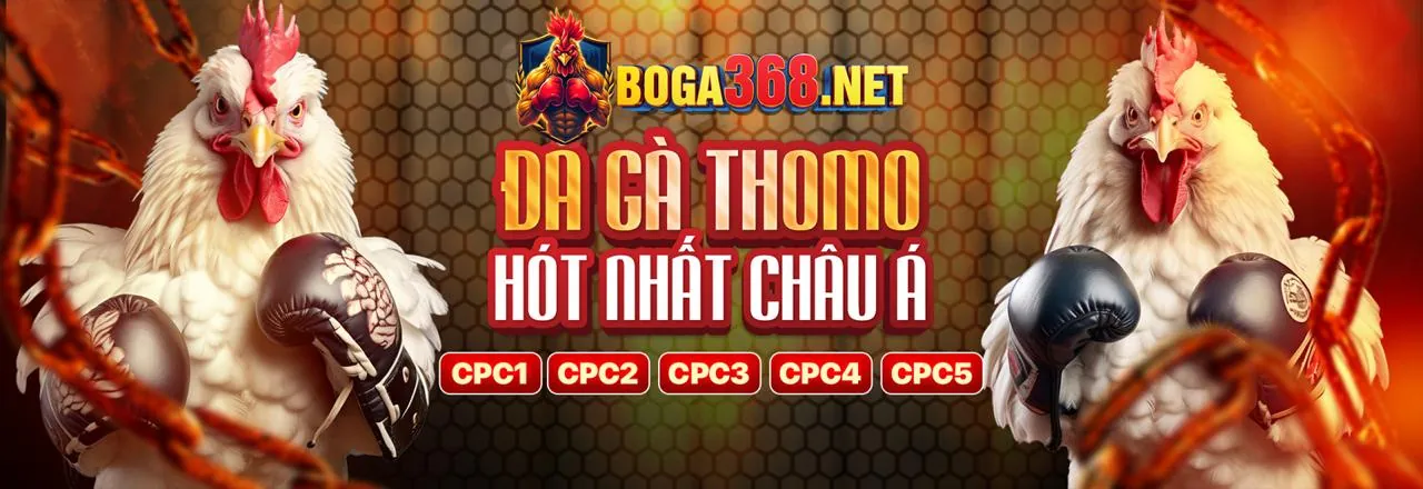 Giao diện trò chơi và các quy tắc cá cược minh bạch tại Vibbet Nhà Cái