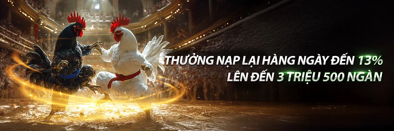 Hỗ trợ khách hàng 24/7 tại Vibbet Nhà Cái